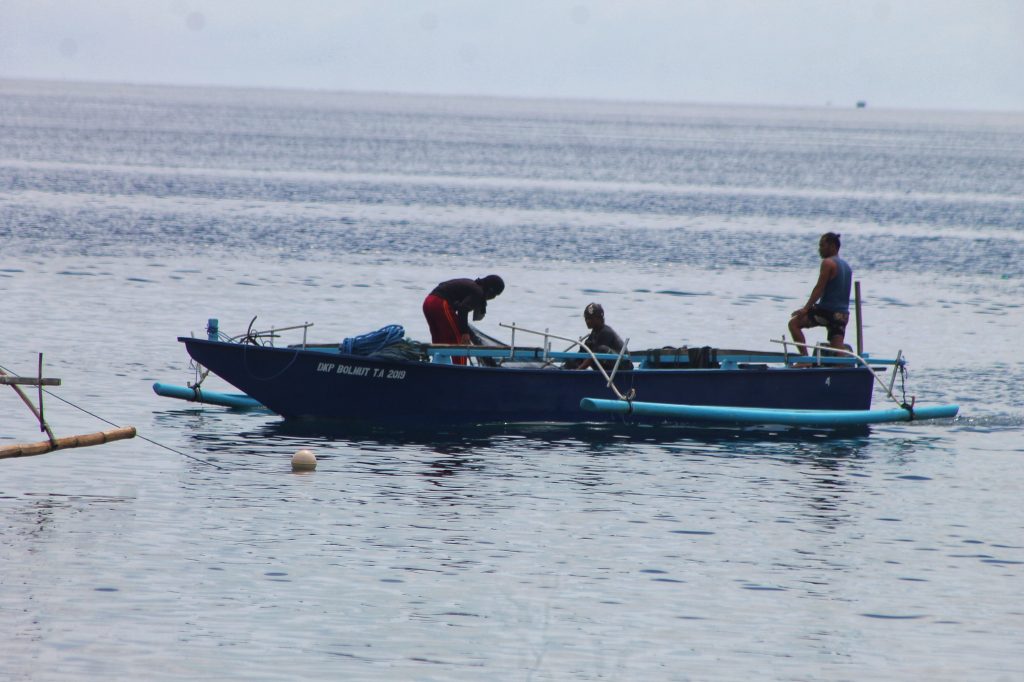 Disebut Amin Lasena di Musrenbang, Berapa Hasil Tangkap Ikan Malalugis Tahun 2021?
